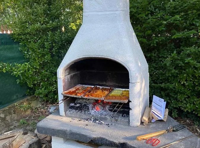Rév1 Révfülöp